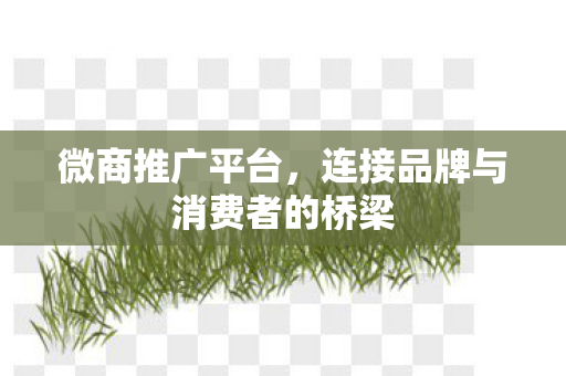 微商推广平台，连接品牌与消费者的桥梁