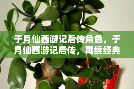 于月仙西游记后传角色，于月仙西游记后传，再续经典，重塑传奇