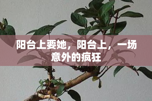 阳台上要她,阳台上,一场意外的疯狂 阳台上要她,阳台上,一场意外的疯狂