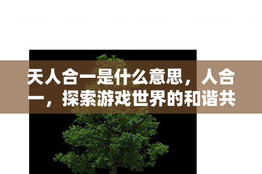 天人合一是什么意思，人合一，探索游戏世界的和谐共生之道