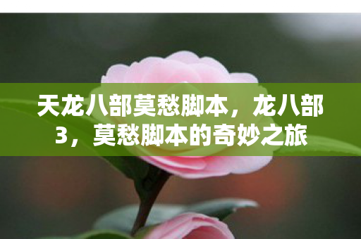 天龙八部莫愁脚本，龙八部3，莫愁脚本的奇妙之旅