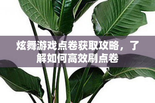 炫舞游戏点卷获取攻略，了解如何高效刷点卷