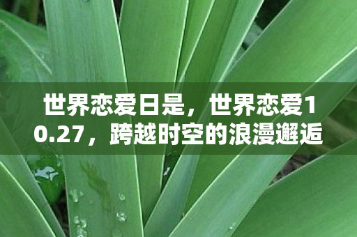 世界恋爱日是，世界恋爱10.27，跨越时空的浪漫邂逅