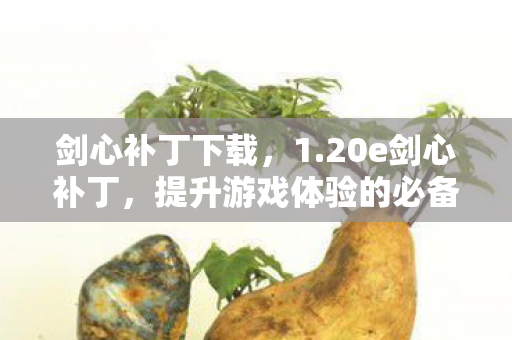 剑心补丁下载，1.20e剑心补丁，提升游戏体验的必备利器