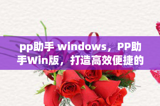 pp助手 windows，PP助手Win版，打造高效便捷的Windows应用管理体验