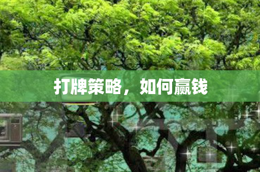 打牌策略,如何赢钱 打牌策略,如何赢钱