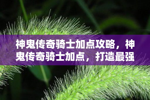 神鬼传奇骑士加点攻略，神鬼传奇骑士加点，打造最强骑士的攻略