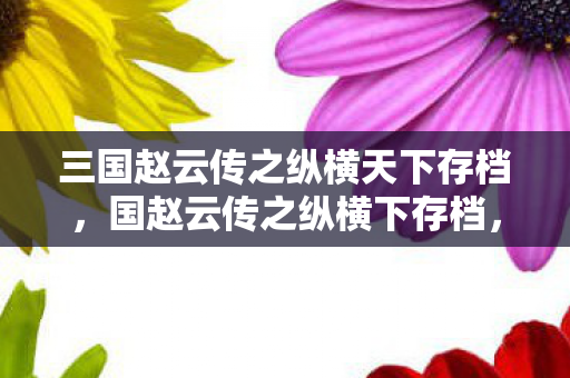 三国赵云传之纵横天下存档，国赵云传之纵横下存档，探索历史与游戏的交汇点