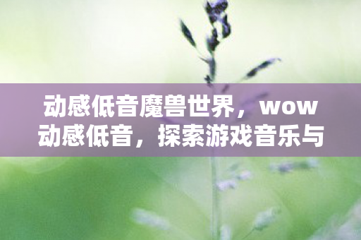 动感低音魔兽世界，wow动感低音，探索游戏音乐与音效的无限可能