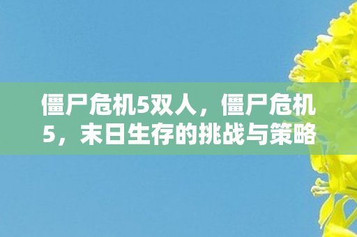 僵尸危机5双人,僵尸危机5,末日生存的挑战与策略 僵尸危机5双人,僵尸危机5,末日生存的挑战与策略