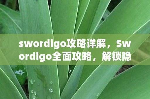 swordigo攻略详解，Swordigo全面攻略，解锁隐藏关卡与角色