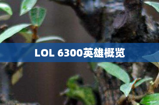 LOL 6300英雄概览 LOL 6300英雄概览