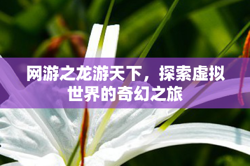 网游之龙游天下,探索虚拟世界的奇幻之旅 网游之龙游天下,探索虚拟世界的奇幻之旅