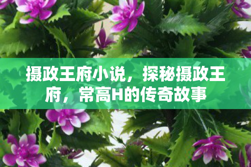 摄政王府小说,探秘摄政王府,常高H的传奇故事 摄政王府小说,探秘摄政王府,常高H的传奇故事