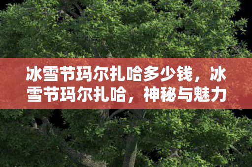 冰雪节玛尔扎哈多少钱，冰雪节玛尔扎哈，神秘与魅力的交织