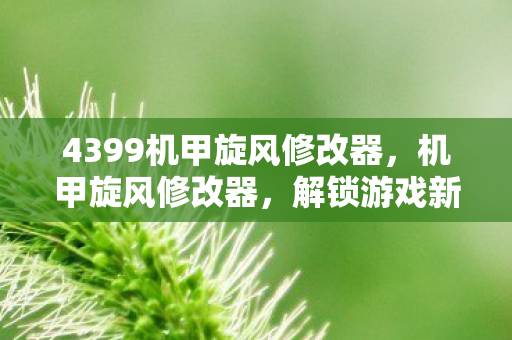 4399机甲旋风修改器，机甲旋风修改器，解锁游戏新境界的神奇工具