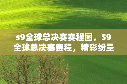 s9全球总决赛赛程图，S9全球总决赛赛程，精彩纷呈的电竞盛宴