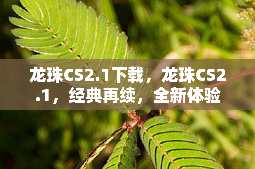 龙珠CS2.1下载，龙珠CS2.1，经典再续，全新体验