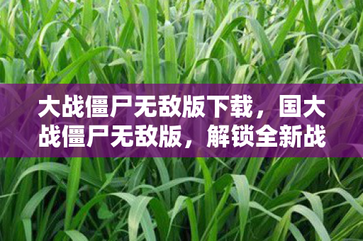 大战僵尸无敌版下载，国大战僵尸无敌版，解锁全新战斗体验，畅享无限乐趣！