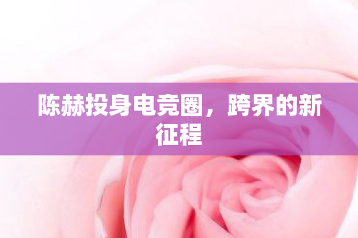 陈赫投身电竞圈，跨界的新征程