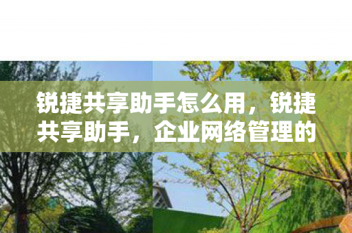 锐捷共享助手怎么用，锐捷共享助手，企业网络管理的得力助手