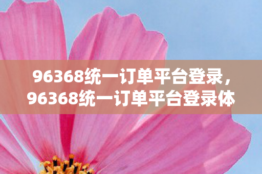 96368统一订单平台登录，96368统一订单平台登录体验与优化建议