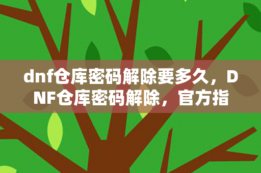 dnf仓库密码解除要多久，DNF仓库密码解除，官方指南与实用技巧