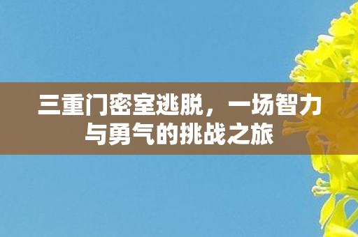 三重门密室逃脱，一场智力与勇气的挑战之旅