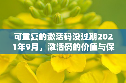 可重复的激活码没过期2021年9月，激活码的价值与保护，确保资源合理利用的秘诀