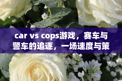 car vs cops游戏，赛车与警车的追逐，一场速度与策略的较量