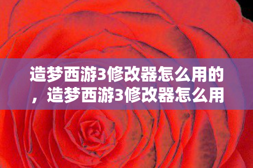 造梦西游3修改器怎么用的，造梦西游3修改器怎么用