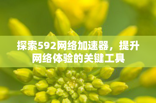探索592网络加速器，提升网络体验的关键工具