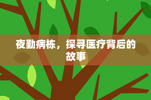 夜勤病栋，探寻医疗背后的故事