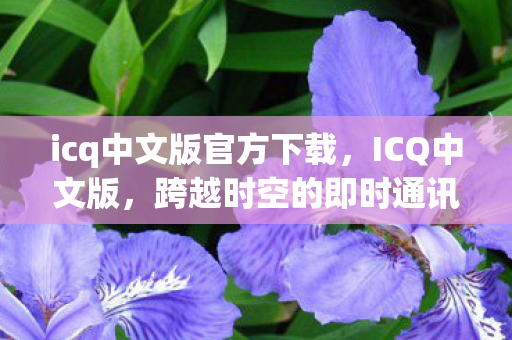 icq中文版官方下载,ICQ中文版,跨越时空的即时通讯新体验 icq中文版官方下载,ICQ中文版,跨越时空的即时通讯新体验