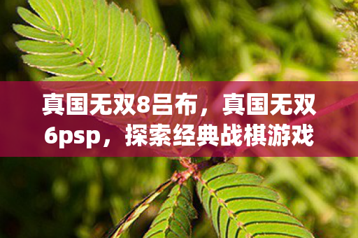 真国无双8吕布,真国无双6psp,探索经典战棋游戏的魅力 真国无双8吕布,真国无双6psp,探索经典战棋游戏的魅力
