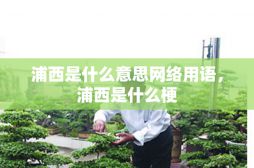 浦西是什么意思网络用语,浦西是什么梗 浦西是什么意思网络用语,浦西是什么梗