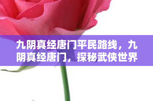 九阴真经唐门平民路线，九阴真经唐门，探秘武侠世界的隐秘门派