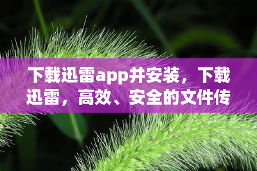 下载迅雷app并安装,下载迅雷,高效、安全的文件传输利器 下载迅雷app并安装,下载迅雷,高效、安全的文件传输利器
