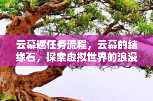 云幕遮任务流程，云幕的结缘石，探索虚拟世界的浪漫邂逅