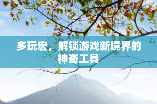 多玩宏,解锁游戏新境界的神奇工具 多玩宏,解锁游戏新境界的神奇工具