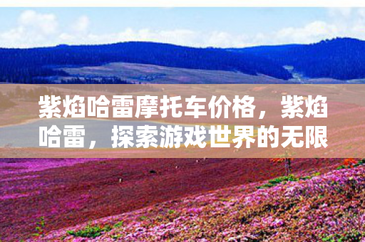 紫焰哈雷摩托车价格，紫焰哈雷，探索游戏世界的无限可能