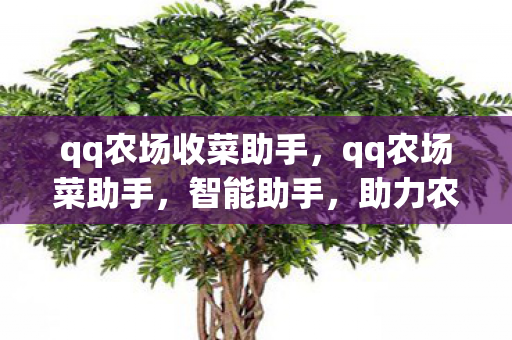 qq农场收菜助手，qq农场菜助手，智能助手，助力农场高效管理
