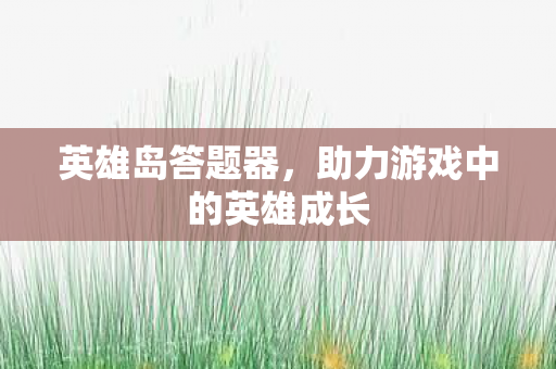 英雄岛答题器，助力游戏中的英雄成长
