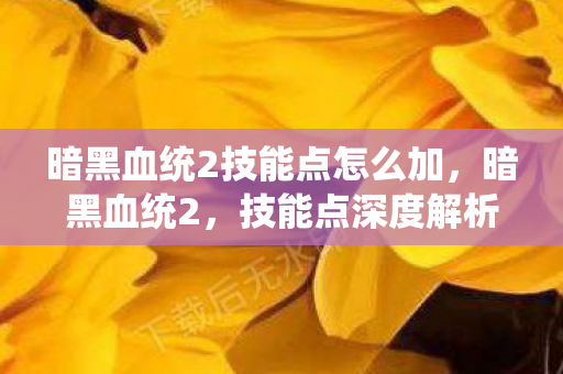 暗黑血统2技能点怎么加，暗黑血统2，技能点深度解析与策略搭配