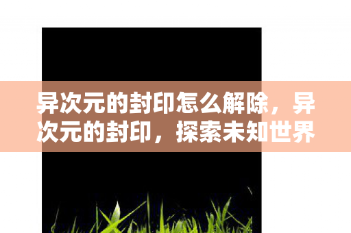 异次元的封印怎么解除,异次元的封印,探索未知世界的神秘之门 异次元的封印怎么解除,异次元的封印,探索未知世界的神秘之门
