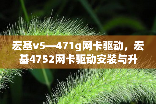 宏基v5—471g网卡驱动，宏基4752网卡驱动安装与升级指南