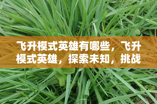 飞升模式英雄有哪些,飞升模式英雄,探索未知,挑战极限 飞升模式英雄有哪些,飞升模式英雄,探索未知,挑战极限