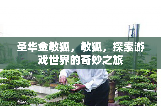 圣华金敏狐,敏狐,探索游戏世界的奇妙之旅 圣华金敏狐,敏狐,探索游戏世界的奇妙之旅