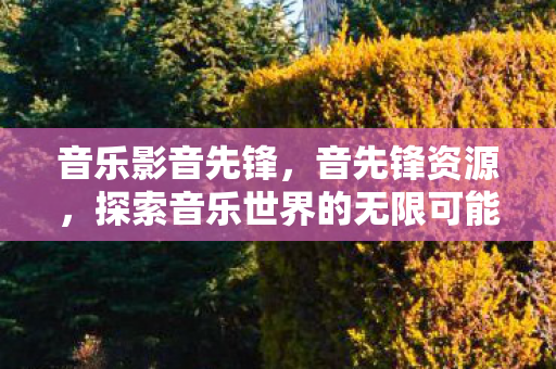 音乐影音先锋，音先锋资源，探索音乐世界的无限可能