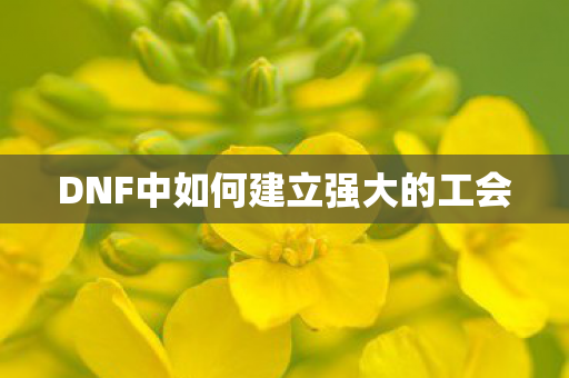 DNF中如何建立强大的工会